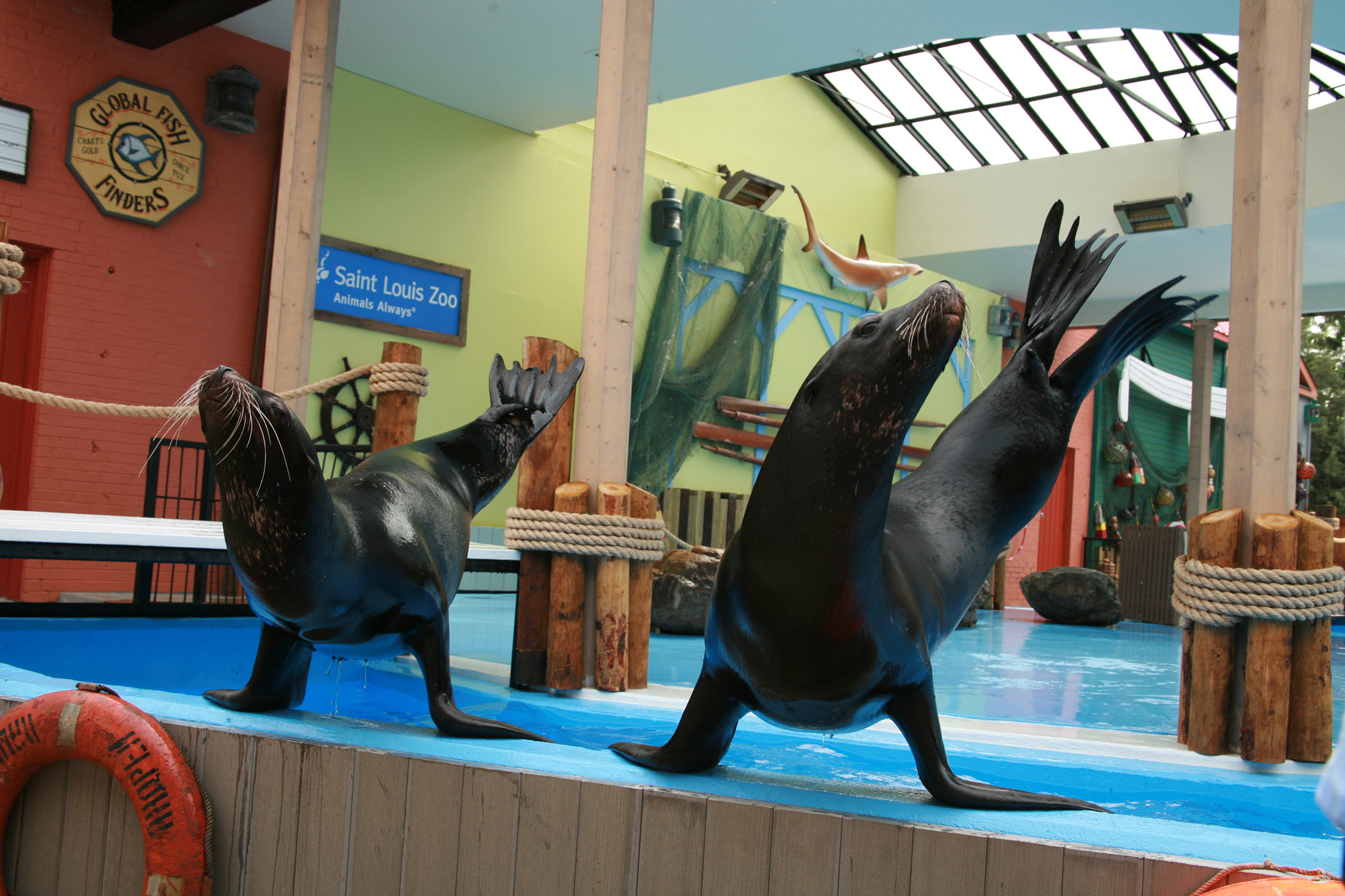 Marine Biology and Oceanography Kaleidoscope Adventures