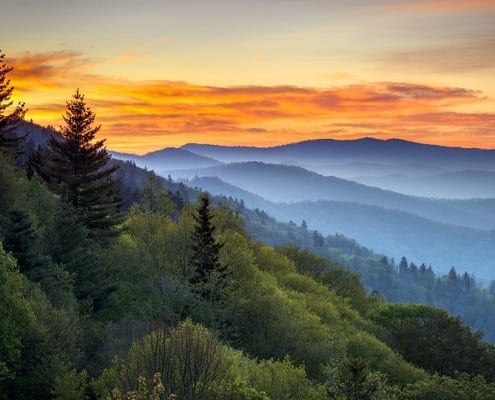 Smoky Mountains, TN