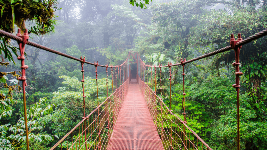 Monteverde Cloud Forest