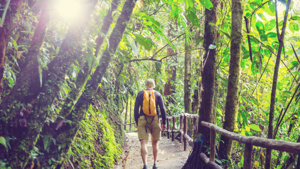 Costa Rica naturalist