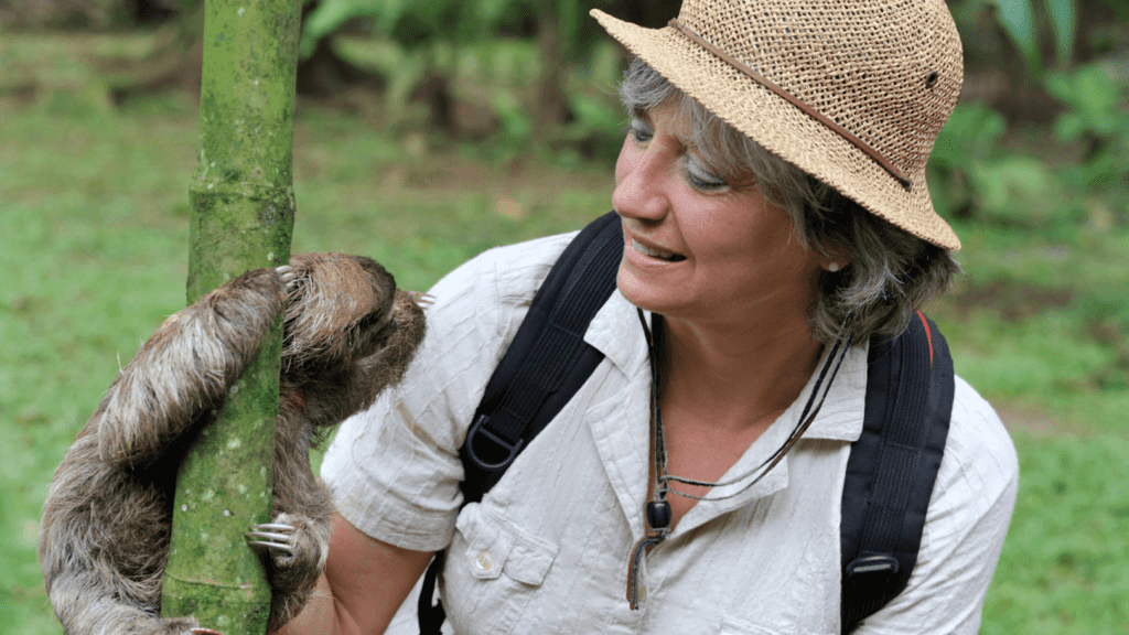 Costa Rica Sloth