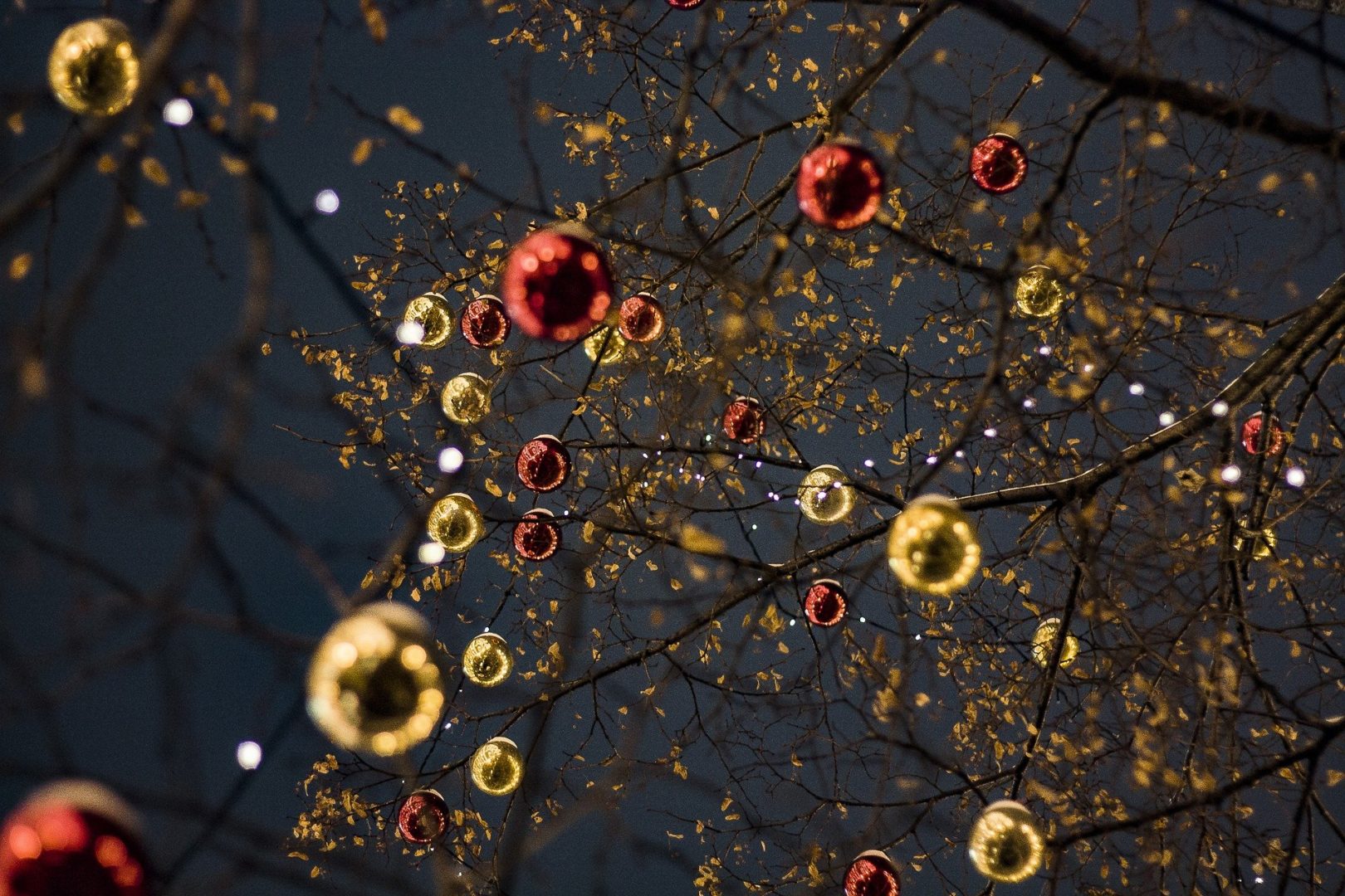 Happy Holidays from Kaleidoscope Adventures