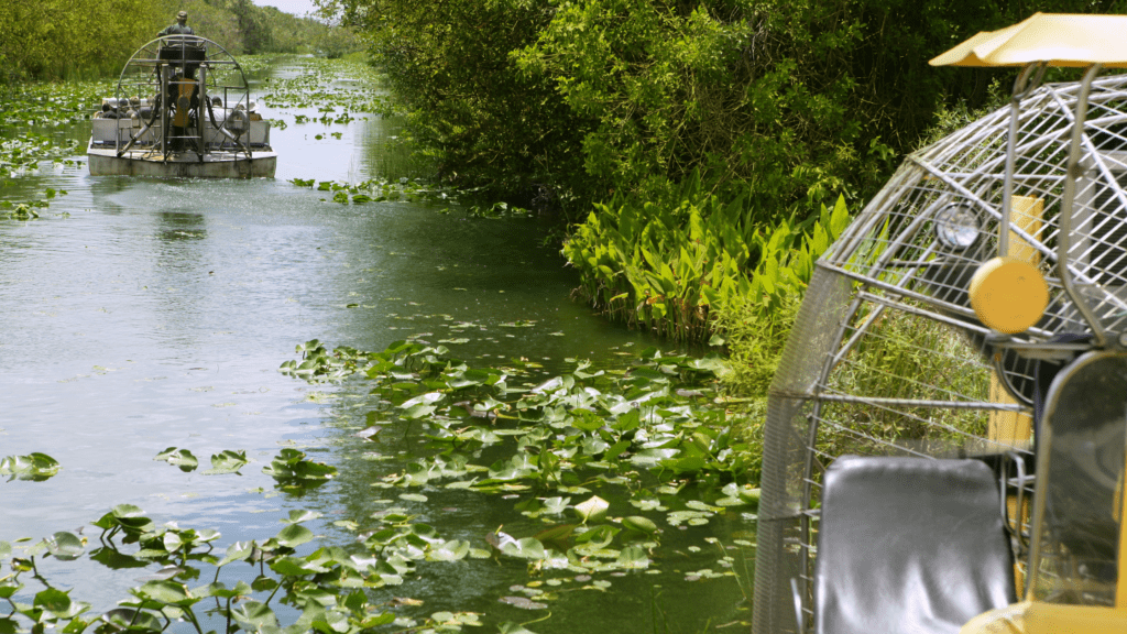 Everglades