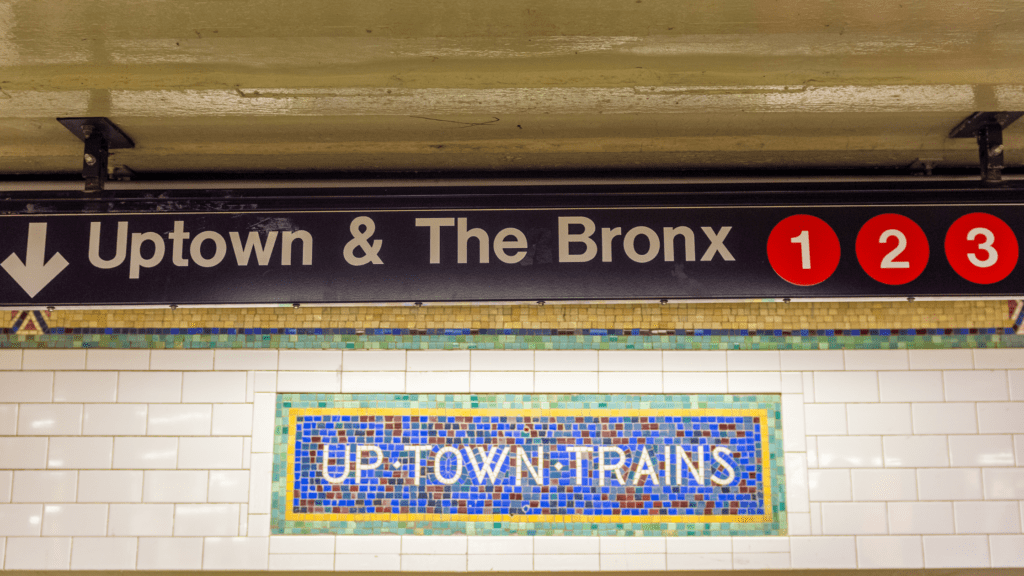 more to see in NYC Bronx