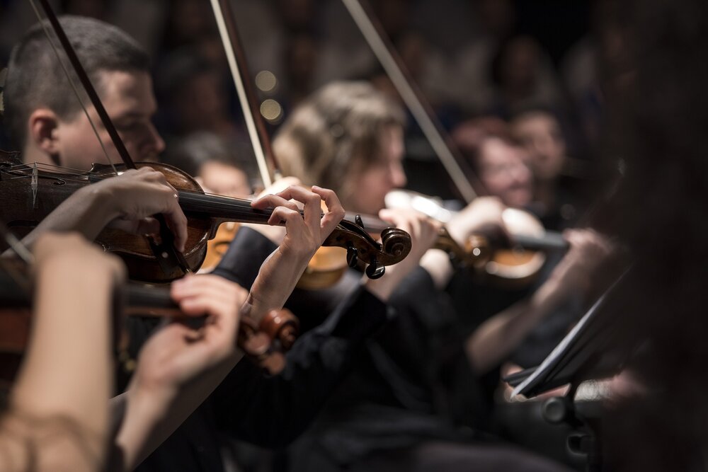 ASTA National Orchestra Festival® image