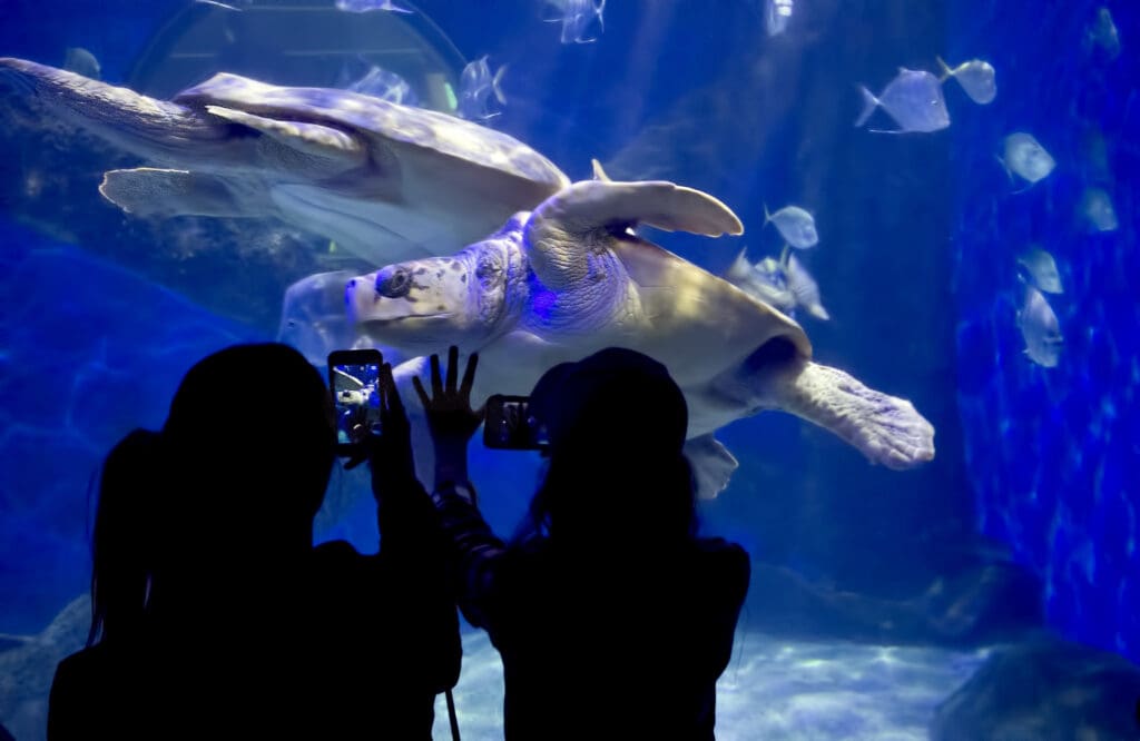 Virginia Aquarium