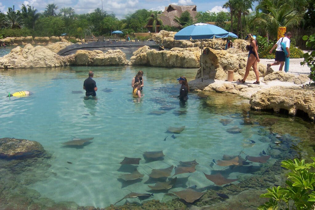 senior class trip to Orlando Discovery Cove