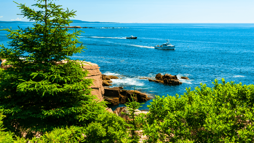 Acadia National Park 