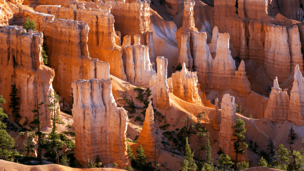 Bryce
