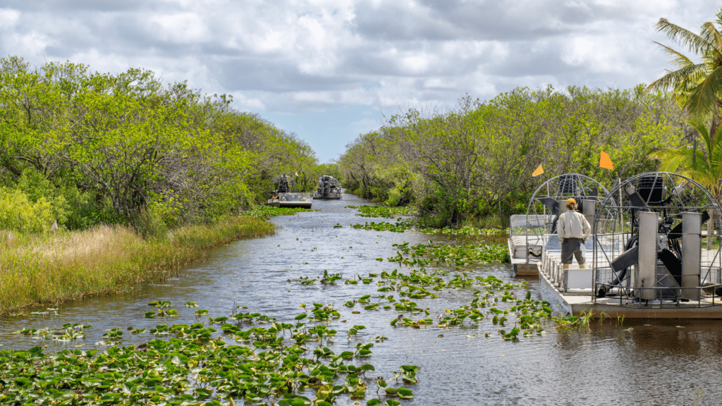 Everglades