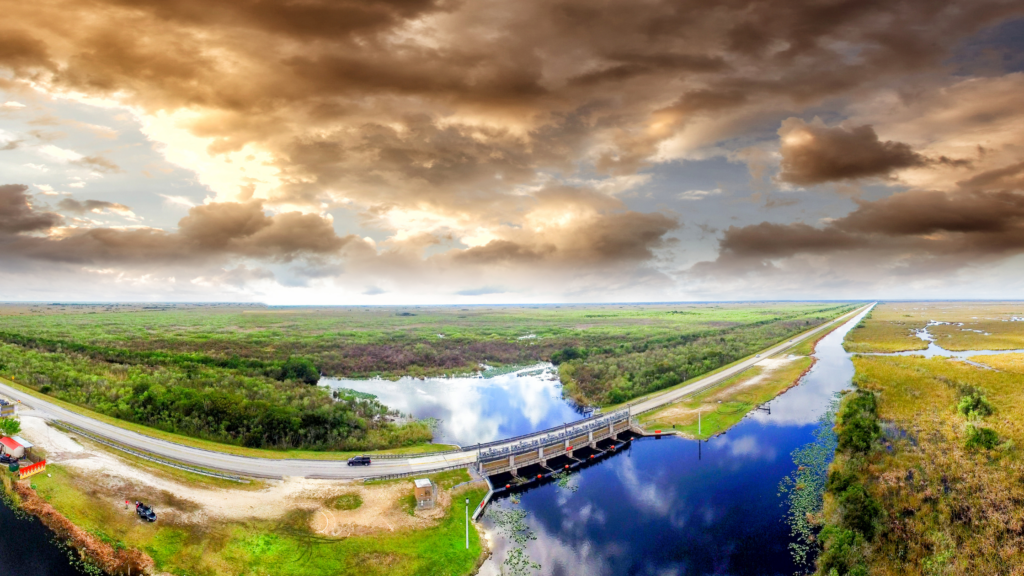 Everglades