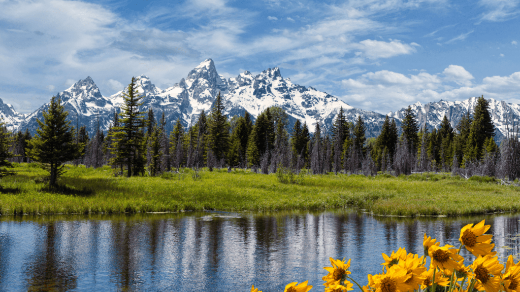 Grand Teton