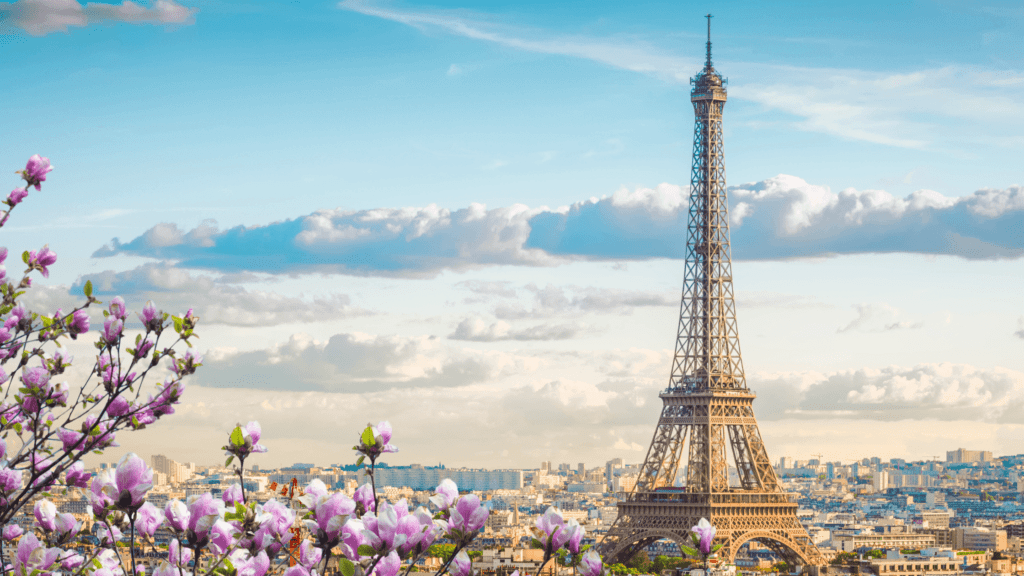distant view of the Eifel Tower with pink flowers in the foreground