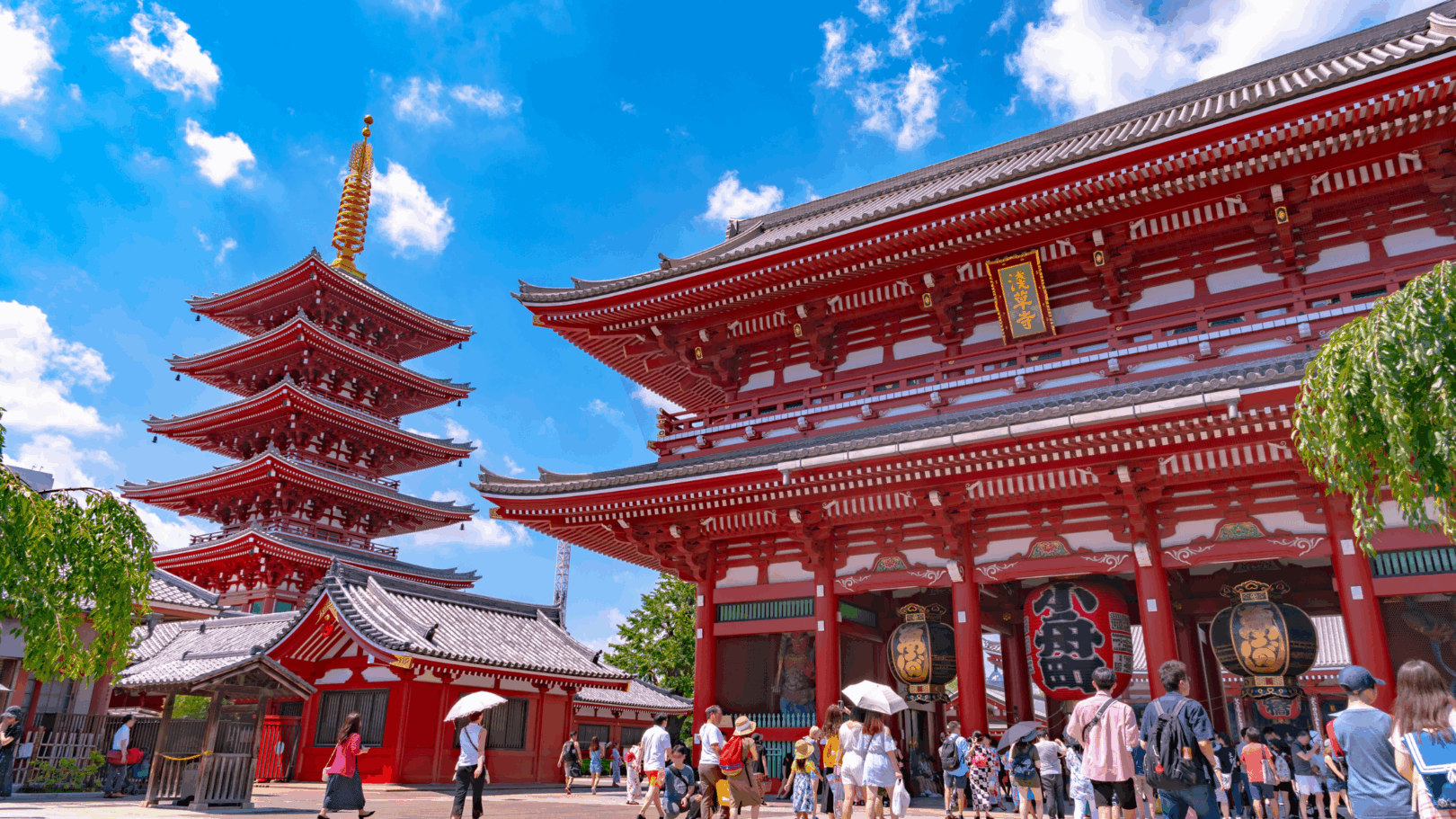 Planning the Ultimate High School Student Trip to Japan Banner Image