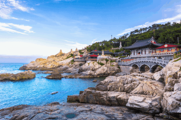 high school trip to south korea