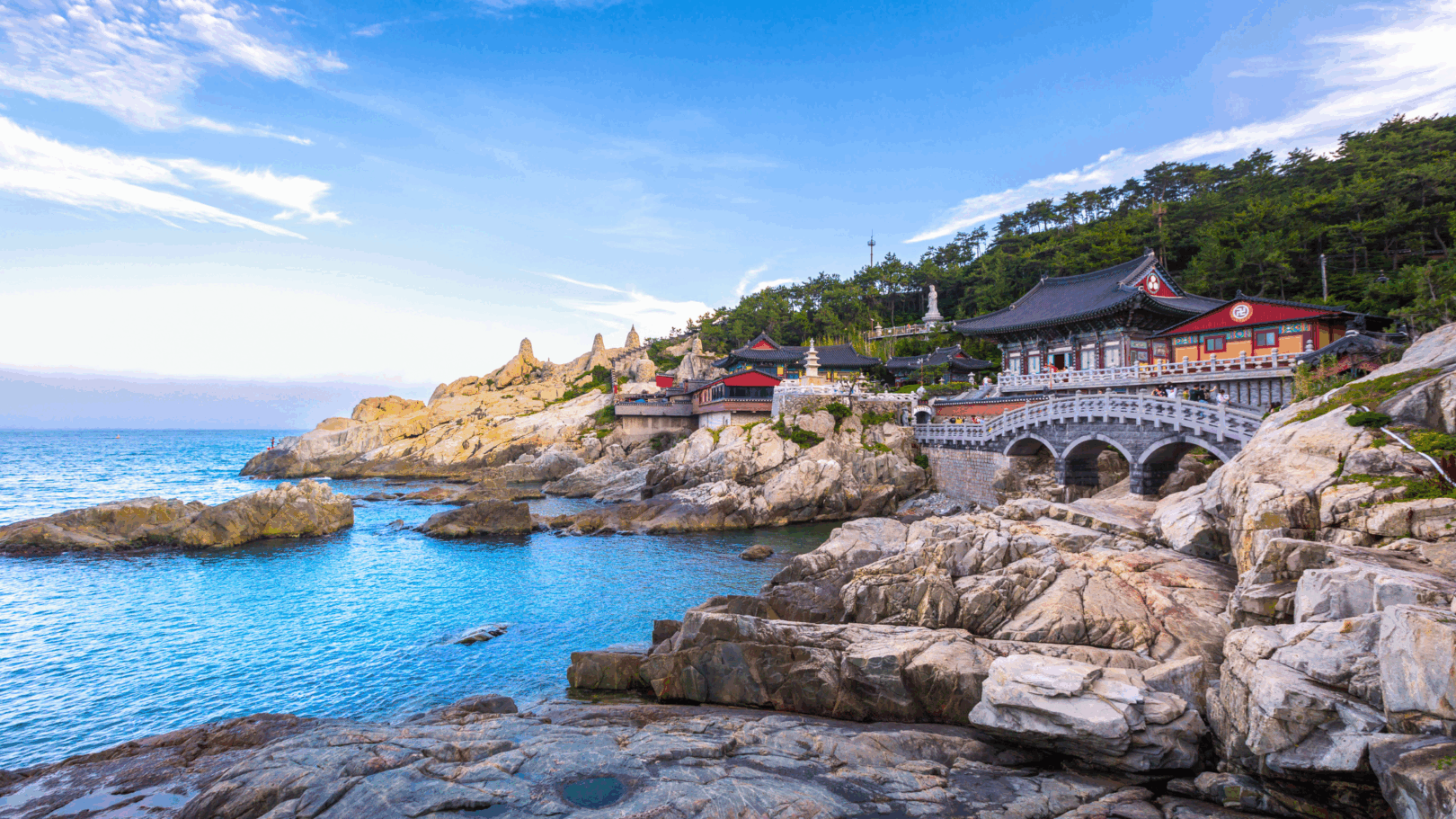 high school trip to south korea