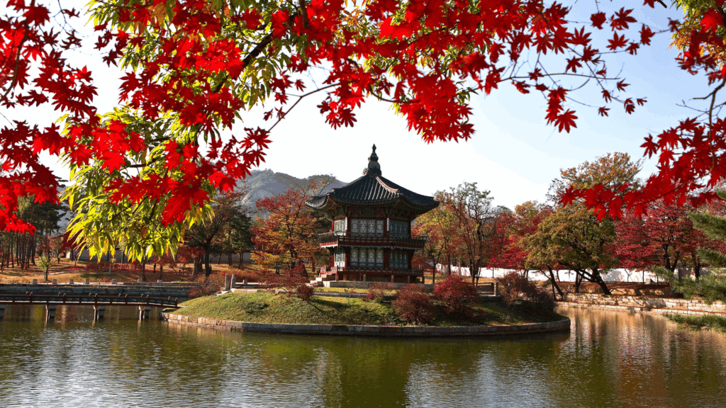 High school trip to South Korea