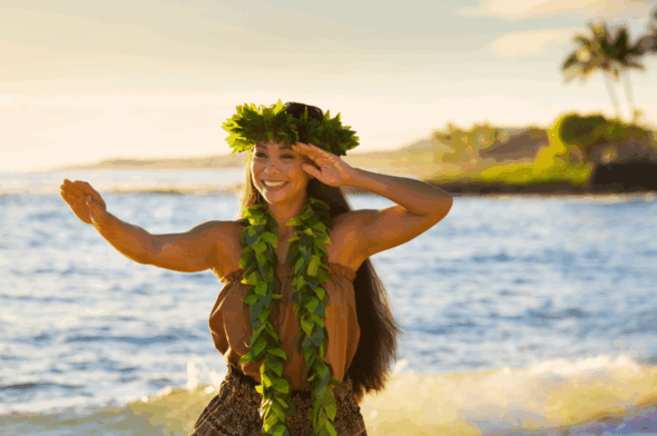 Hawaii is a hot spot for students
