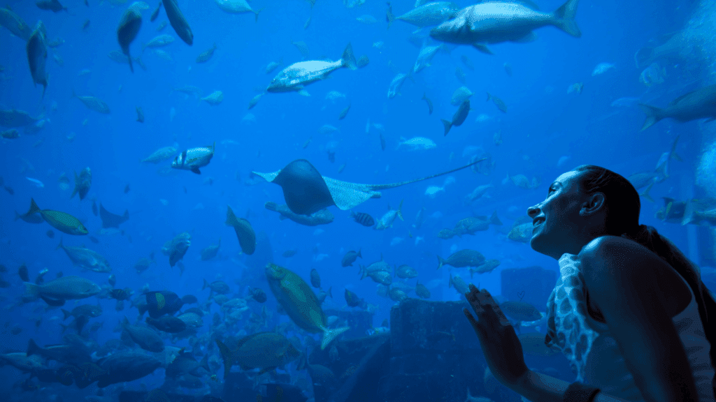 11 must dos on a class trip to Houston
