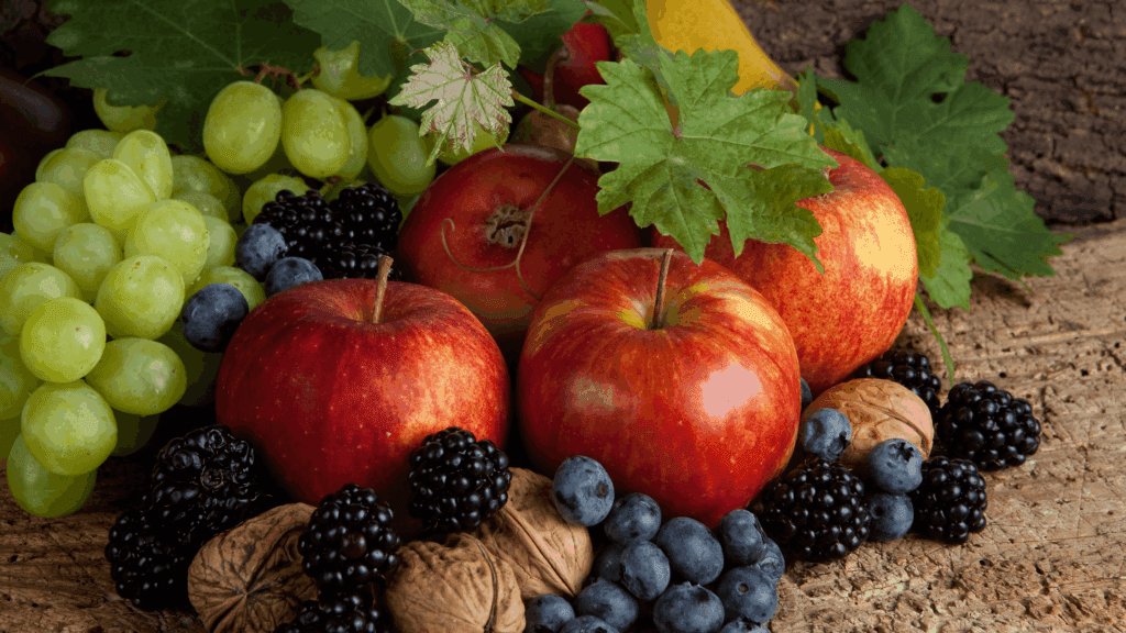 facts about the pilgrims