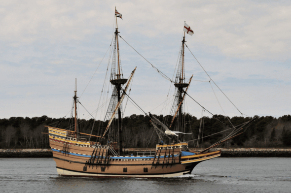 fascinating facts about the pilgrims