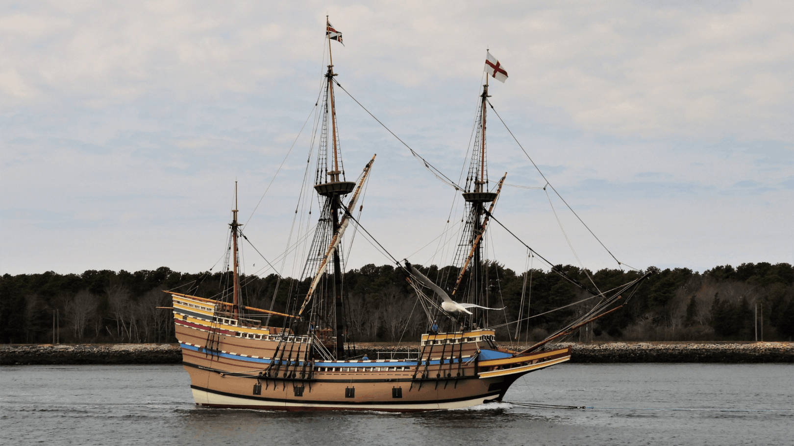 fascinating facts about the pilgrims