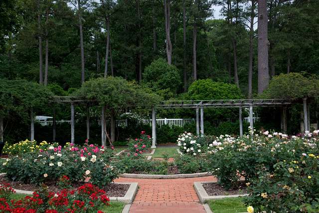 Birmingham Botanical Garden