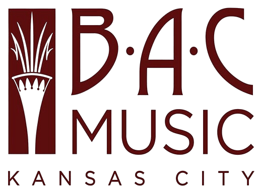 B.A.C. Musical Instruments Banner Image
