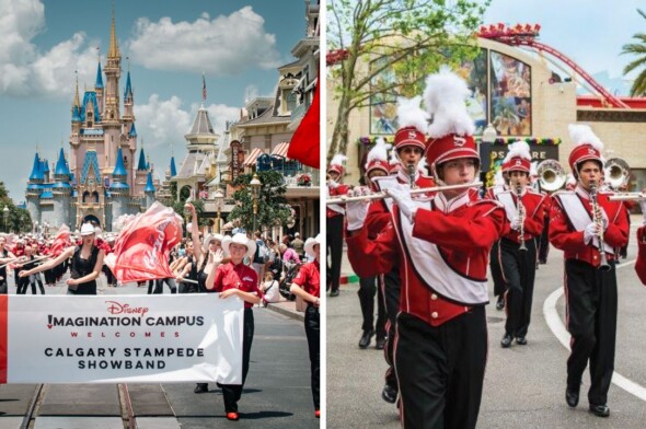 Disney vs. Universal band trip
