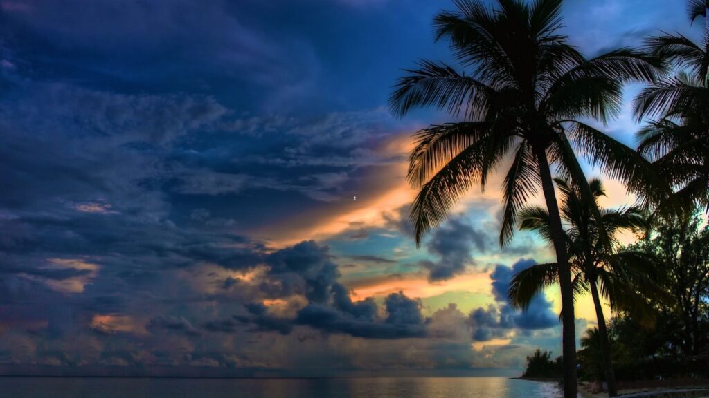 Deep blues and orange of a sunset in the Bahamas with a palm tree in the foreground
