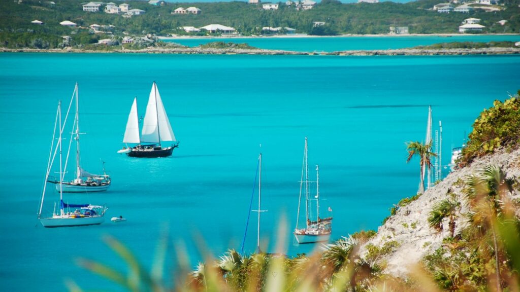 white sailboats on deep blue water with island in the background