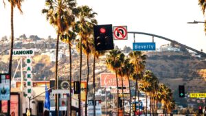 busy Hollywood street lined with palm trees and businesses