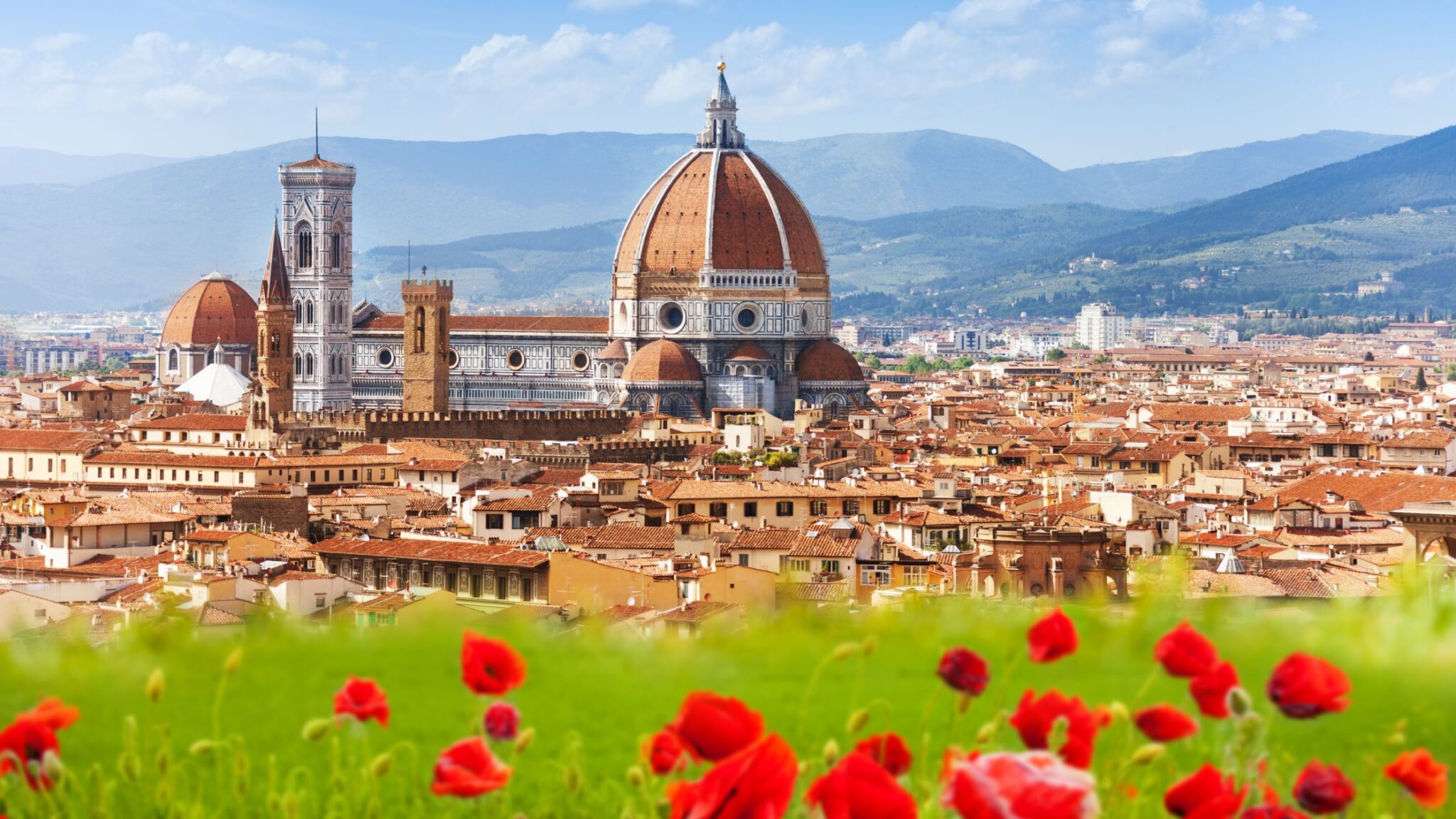 view of Florence from far away with flowers in the foreground