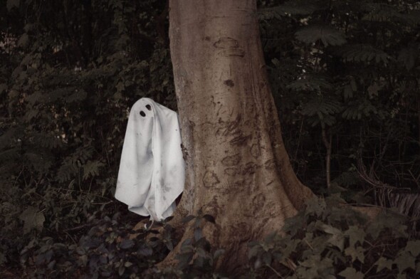ghost wearing a white sheet hiding behind a tree